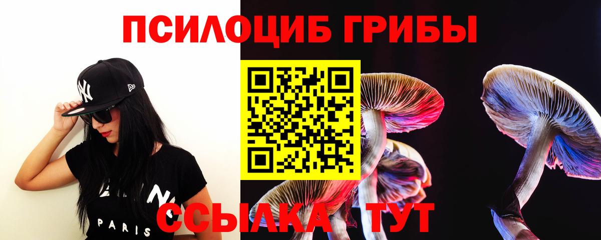 Гулькевичи  Псилоцибиновые грибы мицелий  Псилоцибиновые грибы мухоморы  Вход с VPN 